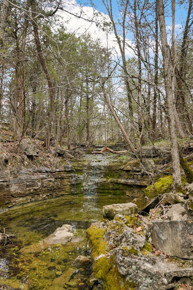 Fossil Cove Rd-60 | Image 59