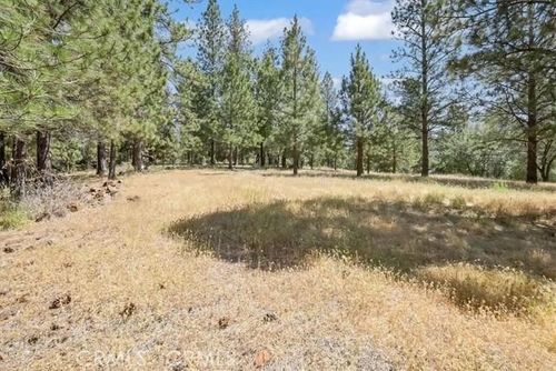 15000 Ponderosa Rd, Brownsville, CA, 95919 | Card Image