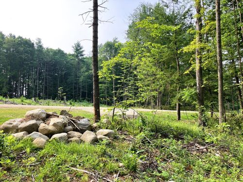 Lot 5 Fern Lake Rd, Leicester, VT, 05733 | Card Image