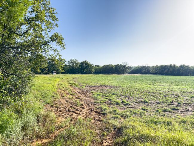 View of nature featuring rural landscape | Image 25