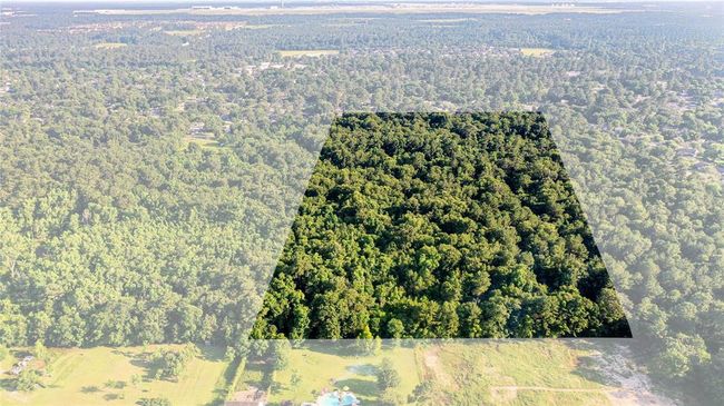 16.33 Acres view | Image 32