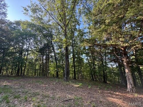 110 Steeple Point Dr. Lot # 14 Drive, Defiance, MO, 63341 | Card Image
