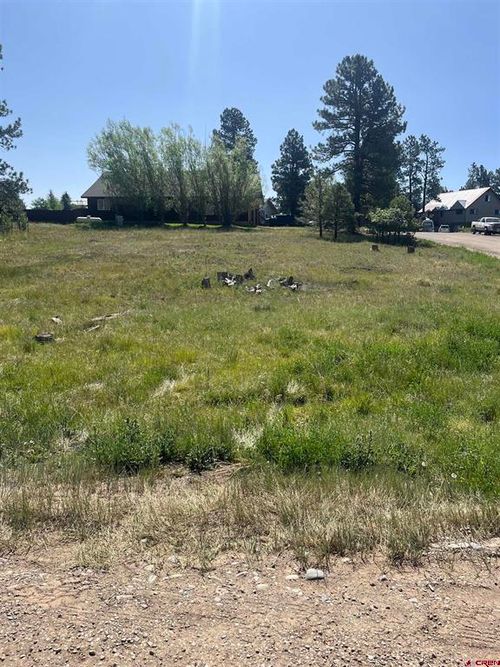 20 La Costa Ct, Pagosa Springs, CO, 81147-8923 | Card Image