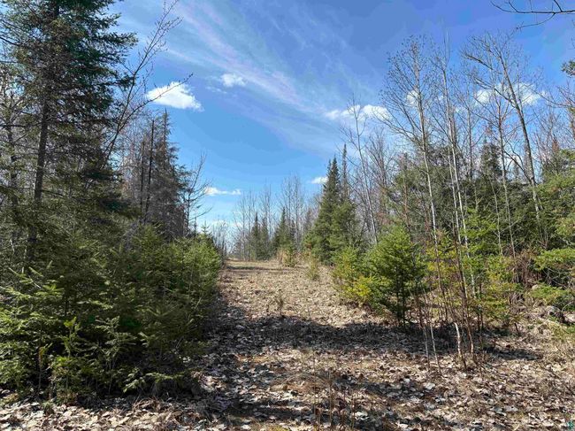 Unit 5 Fernberg Rd, Home with 0 bedrooms, 0 bathrooms and null parking in Ely MN | Image 9