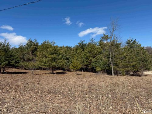 VL Lot 184 Chippewa Trail Trail, Evart Township, MI, 49631 | Card Image