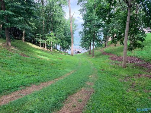 Lot 230 Lookout Mountain Dr, Scottsboro, AL, 35769 | Card Image