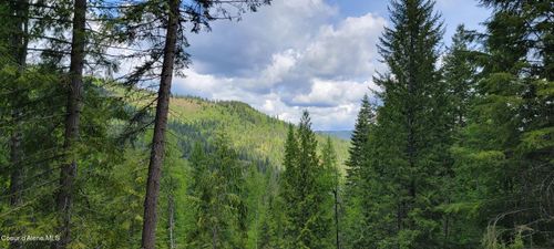 NNA Pup Paw Trl, Priest River, ID, 83856 | Card Image