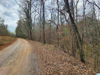 1 - 0000 County Road 141, Home with 0 bedrooms, 0 bathrooms and null parking in Goodwater AL | Image 1