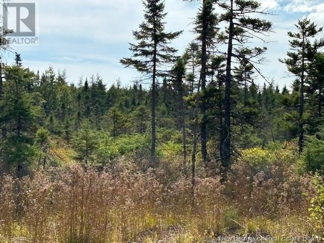 454 St Martins Rd, Home with 0 bedrooms, 0 bathrooms and null parking in Saint John NB | Image 16