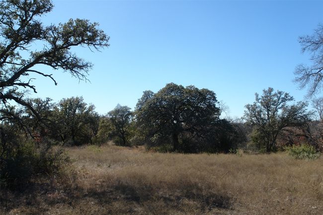 View of local wilderness | Image 26