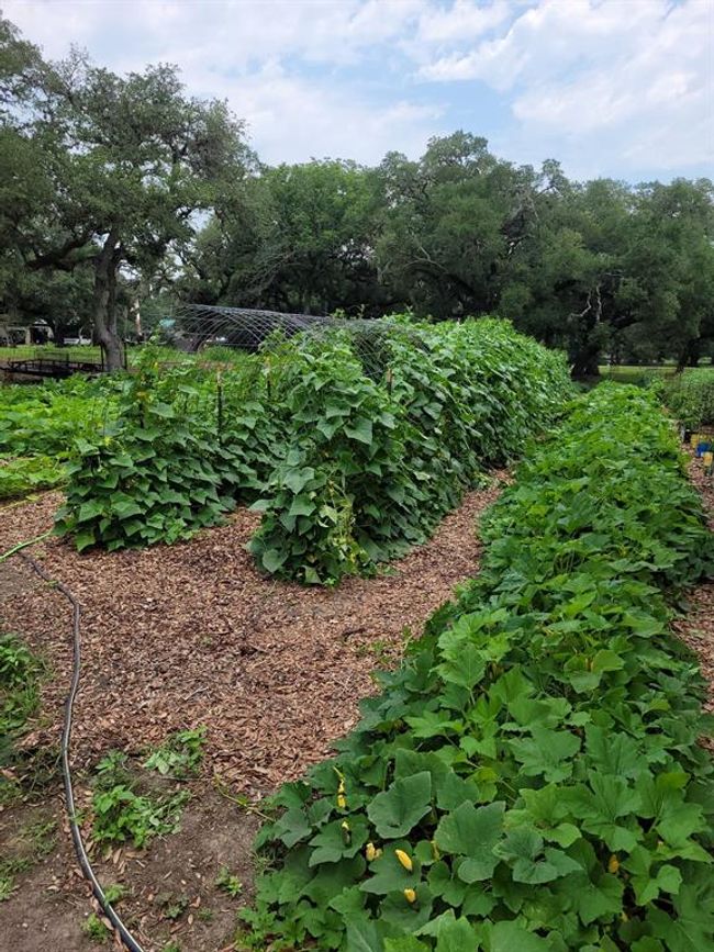 52 Sandy Creek Dr, House other with 0 bedrooms, 0 bathrooms and 6 parking in Van Vleck TX | Image 19