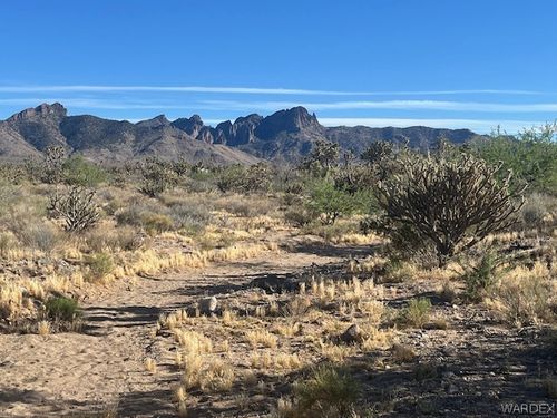 00 20th St, Dolan Springs, AZ, 86441 | Card Image