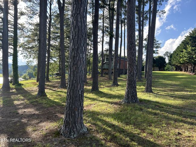 290 Pine Crest Dr, House other with 3 bedrooms, 3 bathrooms and null parking in Rutledge TN | Image 35