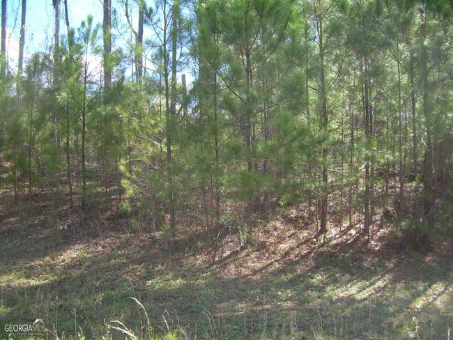 LOT-6 - 0 Shawnee Trl, Home with 0 bedrooms, 0 bathrooms and null parking in Dallas GA | Image 9