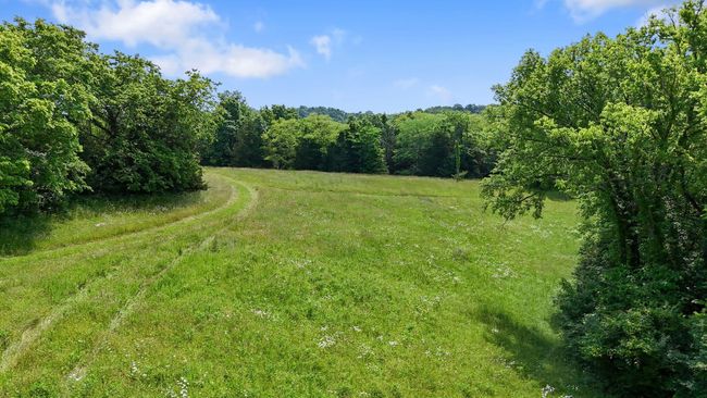 1649 Mudlick Rd, Home with 0 bedrooms, 0 bathrooms and null parking in Cynthiana KY | Image 12