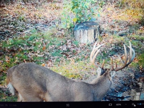 890 Independence Rd, Independence, WI, 54747 | Card Image