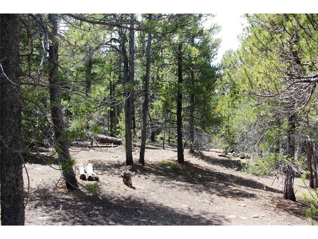 435 Aspen Rd, Home with 0 bedrooms, 0 bathrooms and null parking in Black Hawk CO | Image 22