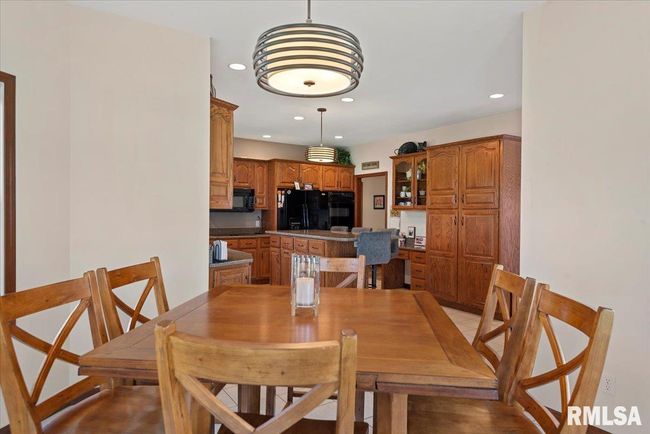 1241 Gracie, House other with 5 bedrooms, 5 bathrooms and null parking in Sherman IL | Image 15