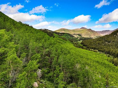 999 Cr-6, Leadville, CO, 80461 | Card Image