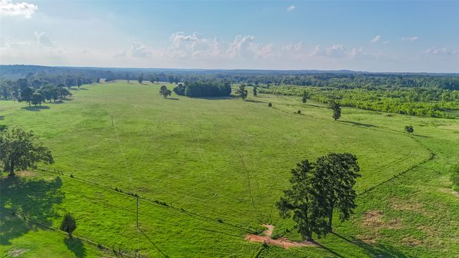 RD - 9759 Texas Highway 155, Home with 0 bedrooms, 0 bathrooms and null parking in Avinger TX | Image 22