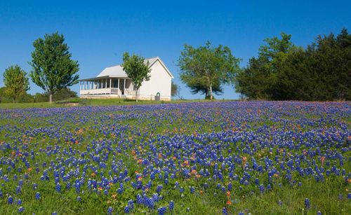 3831 Meadow View Ln, Fayetteville, TX, 78940-5716 | Card Image