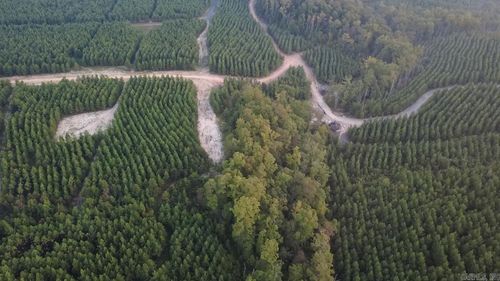 Tract 2C Avalon Lake Lane, Mena, AR, 71953 | Card Image