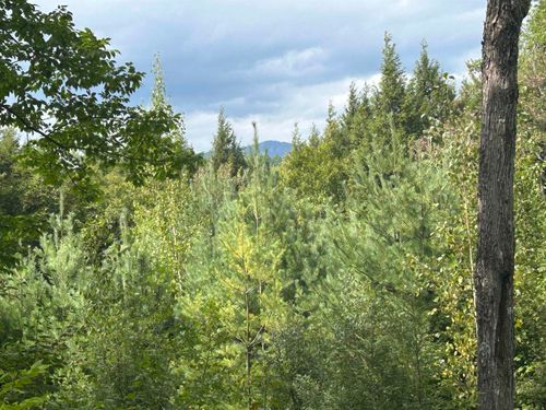 0 Stratton Gardens Rd, Bondville, VT, 05340 | Card Image