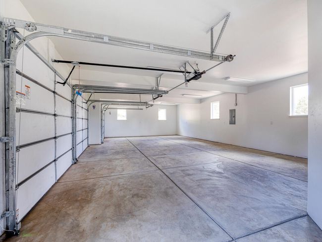 1168 Paper Birch-17 | Image 17