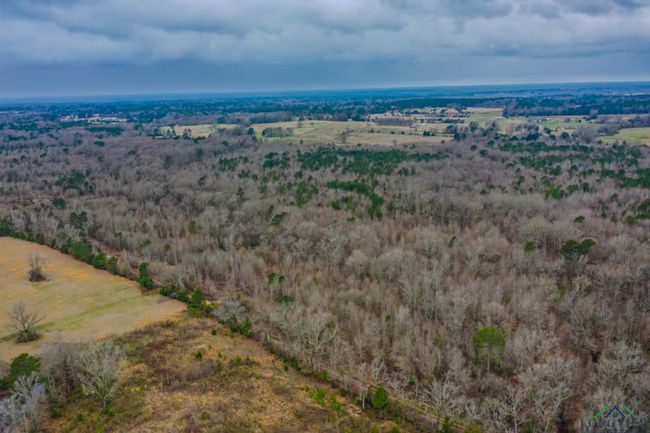 00 Mistletoe Rd, Home with 0 bedrooms, 0 bathrooms and null parking in Gilmer TX | Image 6