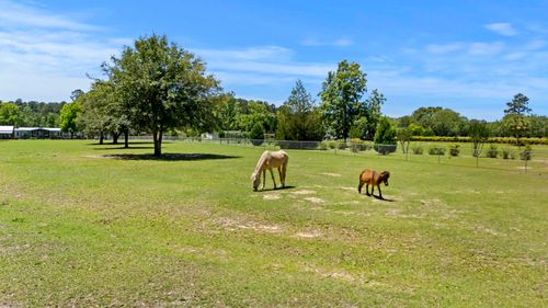00 Campbell Rd, Ridgeville, SC, 29472 | Card Image
