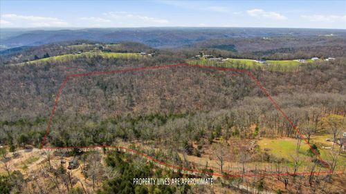 000 Bray Mines Rd, Oldfield, MO, 65720 | Card Image