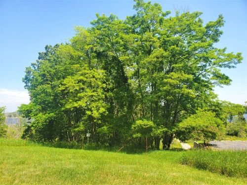 Lot 3 N Old Channel Trl, Montague, MI, 49437 | Card Image