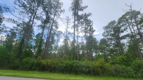 213 Georgetown Denver Rd, Georgetown, FL, 32139 | Card Image