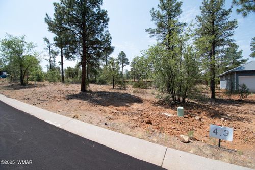 381 E Huckleberry Ln, Show Low, AZ, 85901-6985 | Card Image