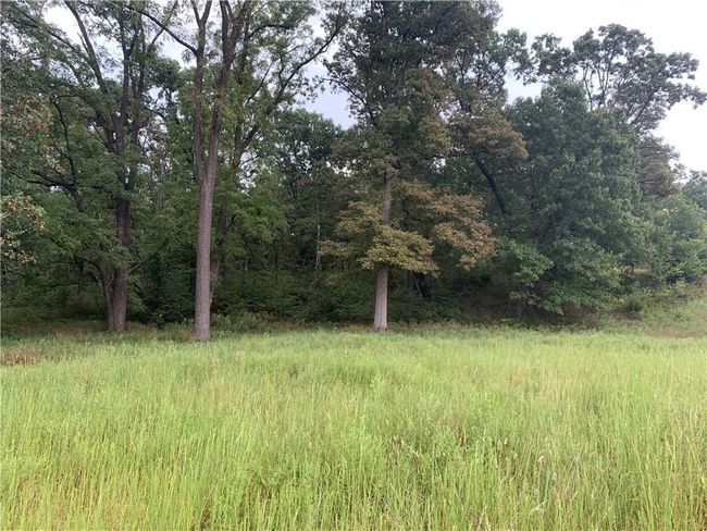 8 N Mt Olive Road, Home with 0 bedrooms, 0 bathrooms and null parking in Gravette AR | Image 14