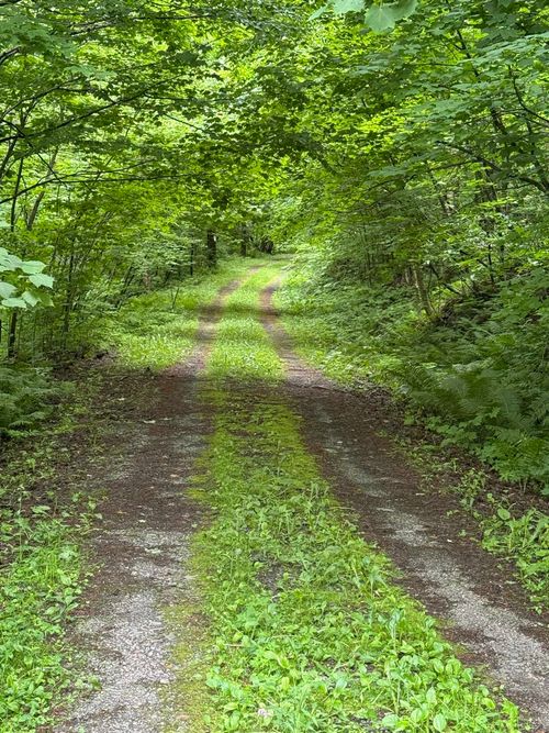 680 Deming Rd, Enosburg Falls, VT, 05450 | Card Image