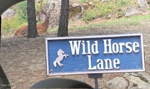 7376 Wild Horse Ln, Bonners Ferry, ID, 83805-7564 | Card Image