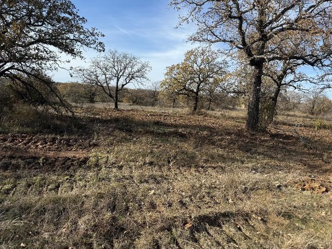 827 Erwin Rd, Home with 0 bedrooms, 0 bathrooms and null parking in Jacksboro TX | Image 4