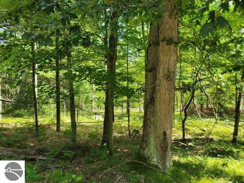 0 Turtle Lake Rd, Prescott, MI, 48756 | Card Image