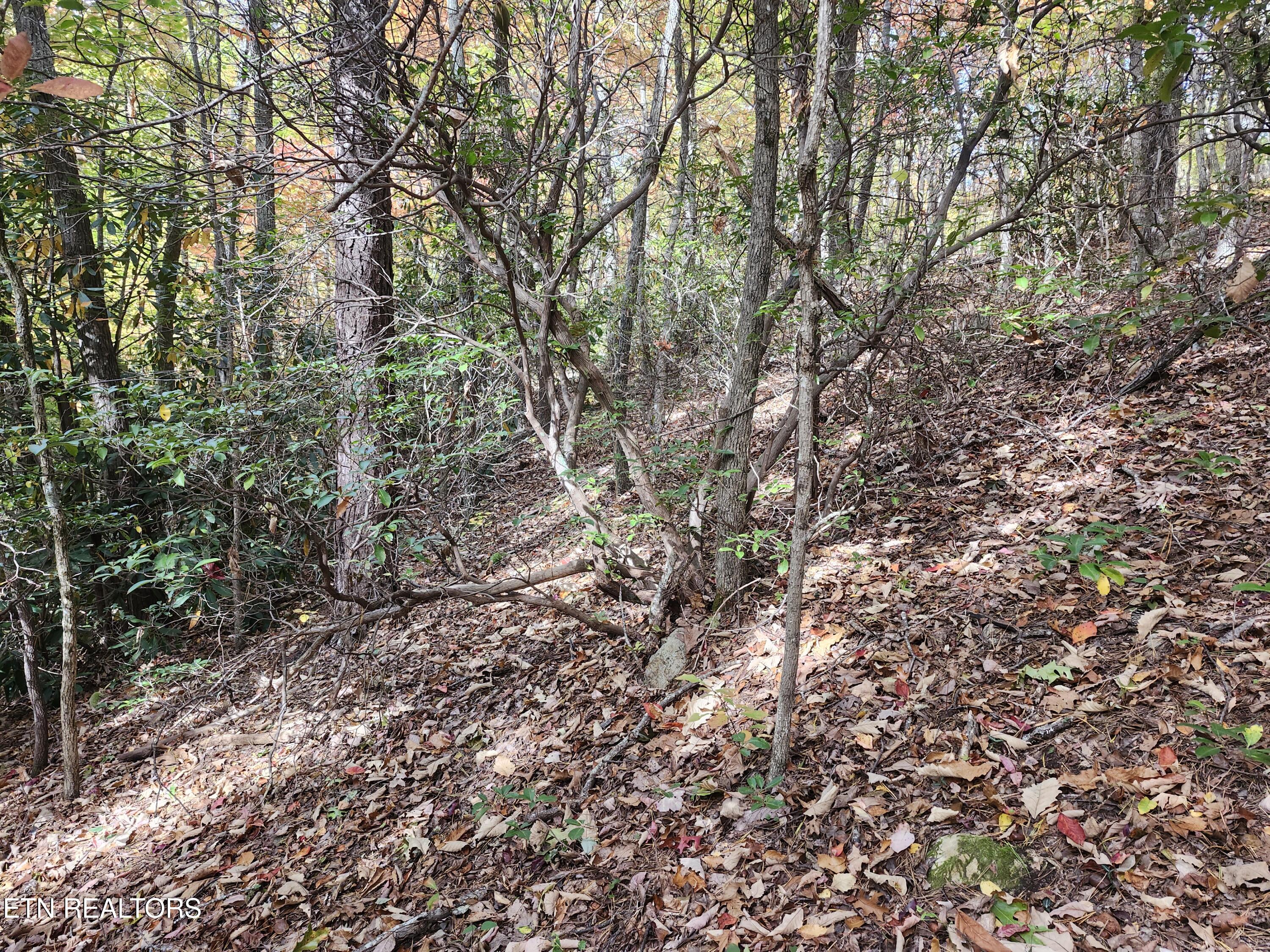 Land in Sevierville 5