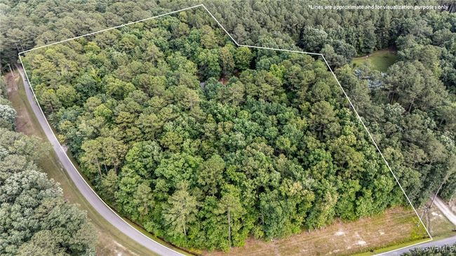 OVER 5 ACRES OF WOODED PRIVACY! | Image 4