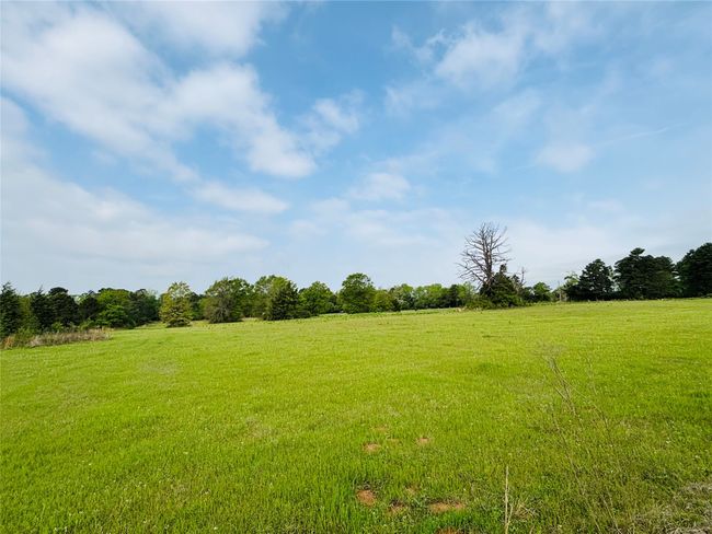 11746 County Road 352 E, House other with 3 bedrooms, 2 bathrooms and null parking in Henderson TX | Image 27