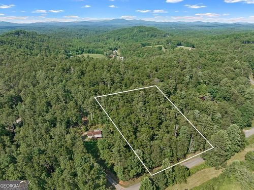 2 AC Ritchie Creek Rd, Blue Ridge, GA, 30513 | Card Image