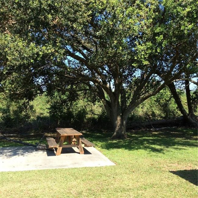 Back yard | Image 13