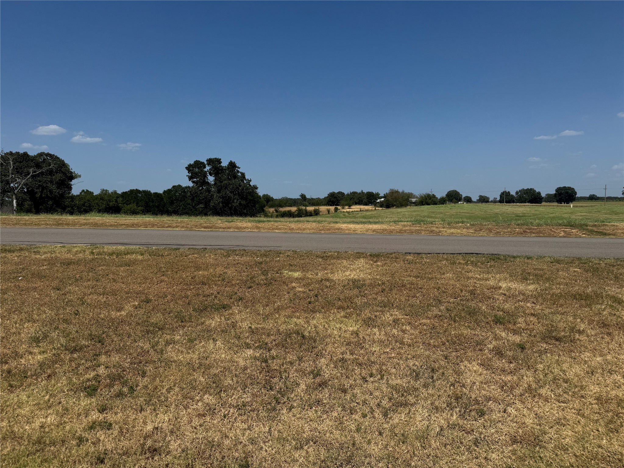 Land in Honey Grove 5