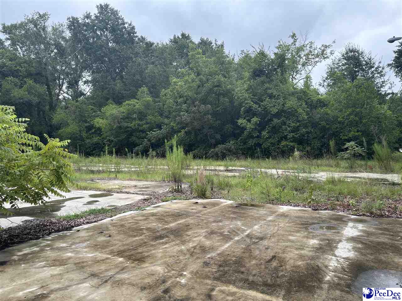 Land in Hartsville 4
