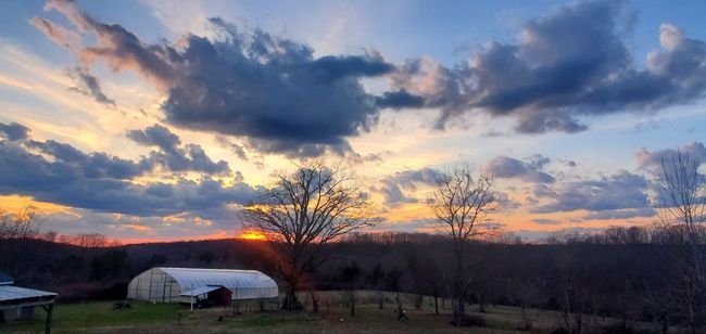 7690 Barnhill Rd, House other with 3 bedrooms, 2 bathrooms and 13 parking in Primm Springs TN | Image 48