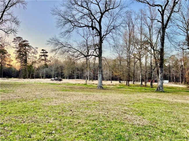 A portion of the 16 acres | Image 6