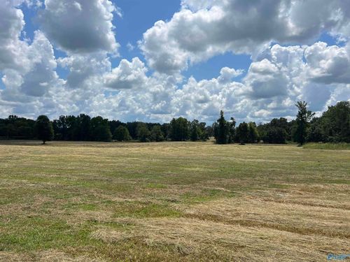 22 acres County Road 125, Moulton, AL, 35650 | Card Image