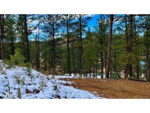 15126 N Pine Lake Pl, Woodland Park, CO, 80863 | Card Image